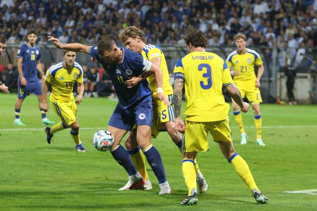 Tarik Muharemovic during Bosnia and Herzegovina's draw with Sweden